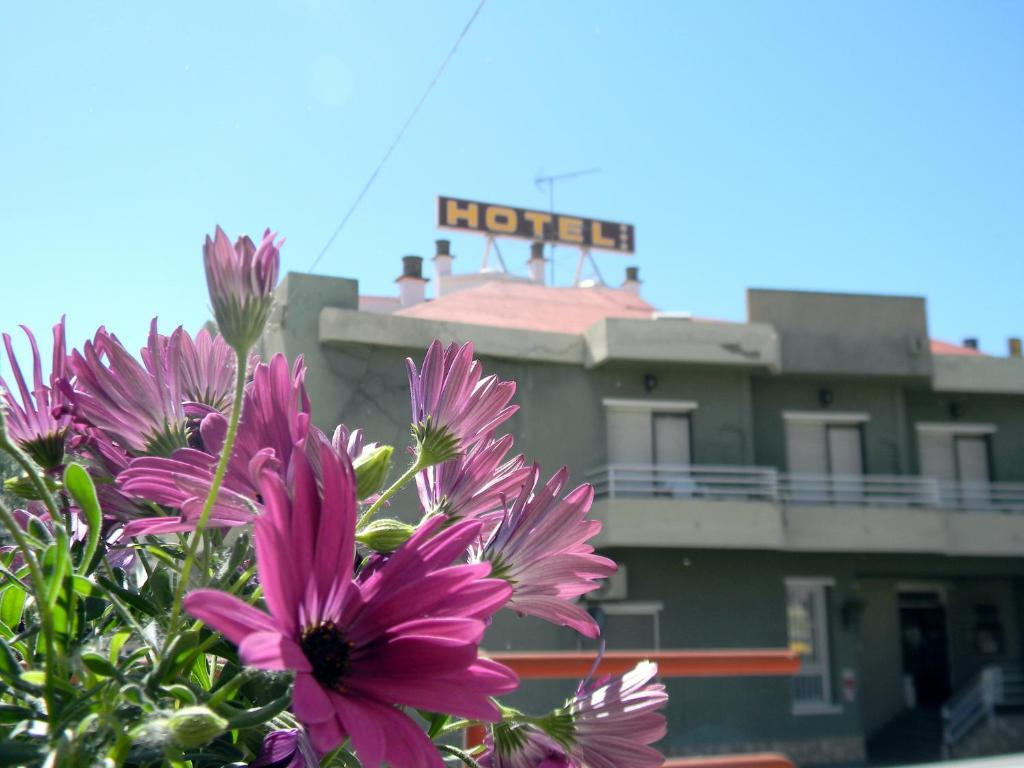 Hotel Restaurante Las Galias Zuera Kültér fotó